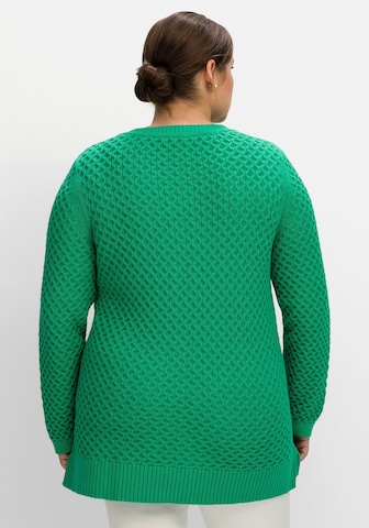 Pull-over SHEEGO en vert