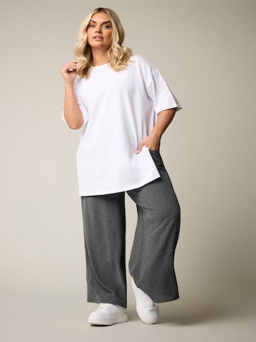 Stil Diva Regular Broek in Grijs: voorkant