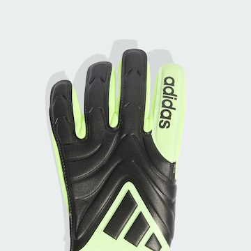 Gants de sport 'Copa League' ADIDAS PERFORMANCE en vert