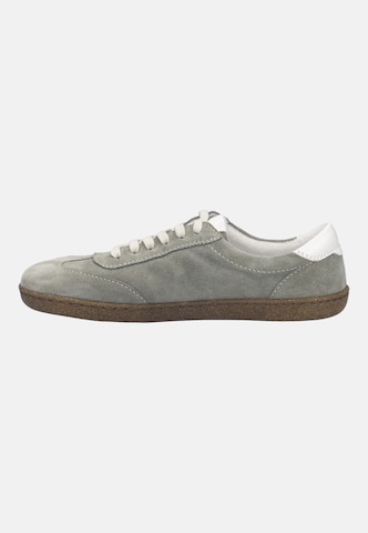JOSEF SEIBEL High-Top Sneakers in Green