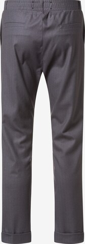 Wiederbelebt Regular Pants 'TAMMO' in Grey