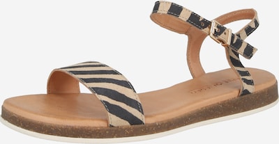 Basutės su dirželiais 'ISA' iš Apple of Eden, spalva – smėlio spalva / juoda, Prekių apžvalga