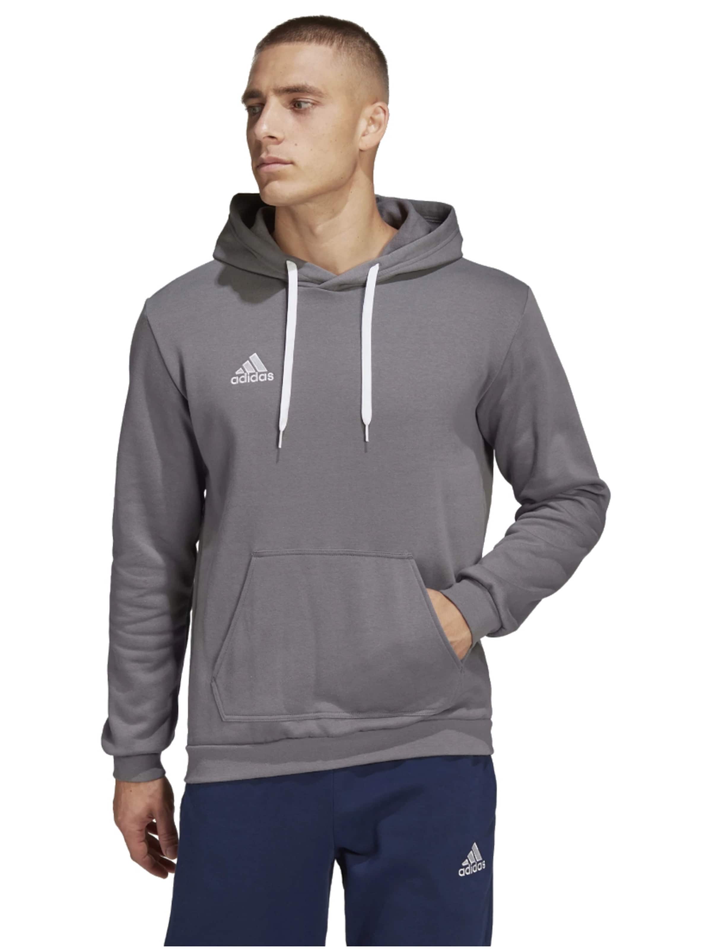 ADIDAS PERFORMANCE Sweatshirt 'Entrada 22 Sweat' in Grijs: voorkant