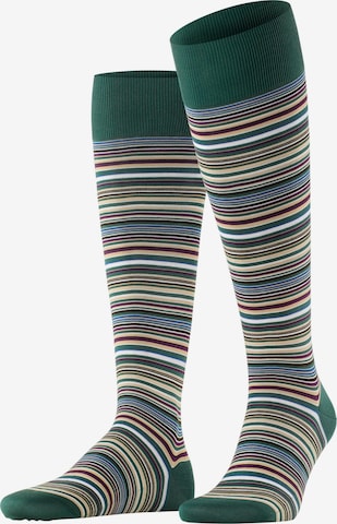 FALKE Kniestrümpfe 'Microblock' in Grün: Vorderseite