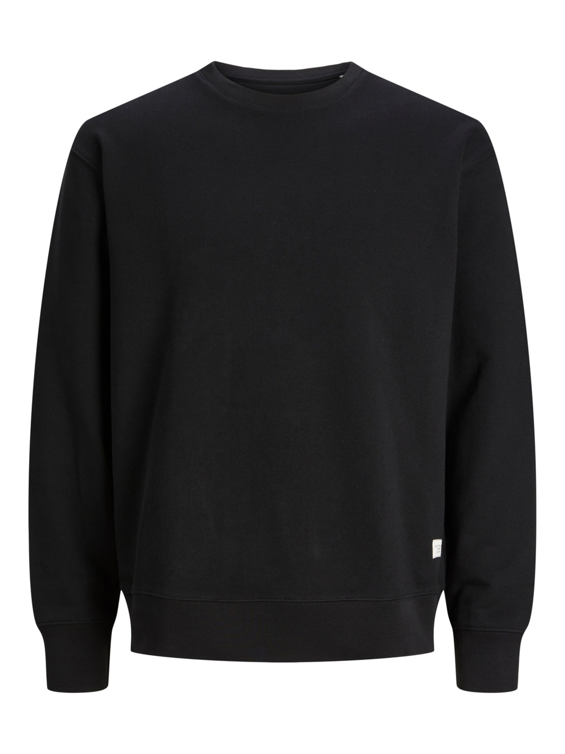 R.D.D. ROYAL DENIM DIVISION Суичър 'RDDAndy' в черно: отпред