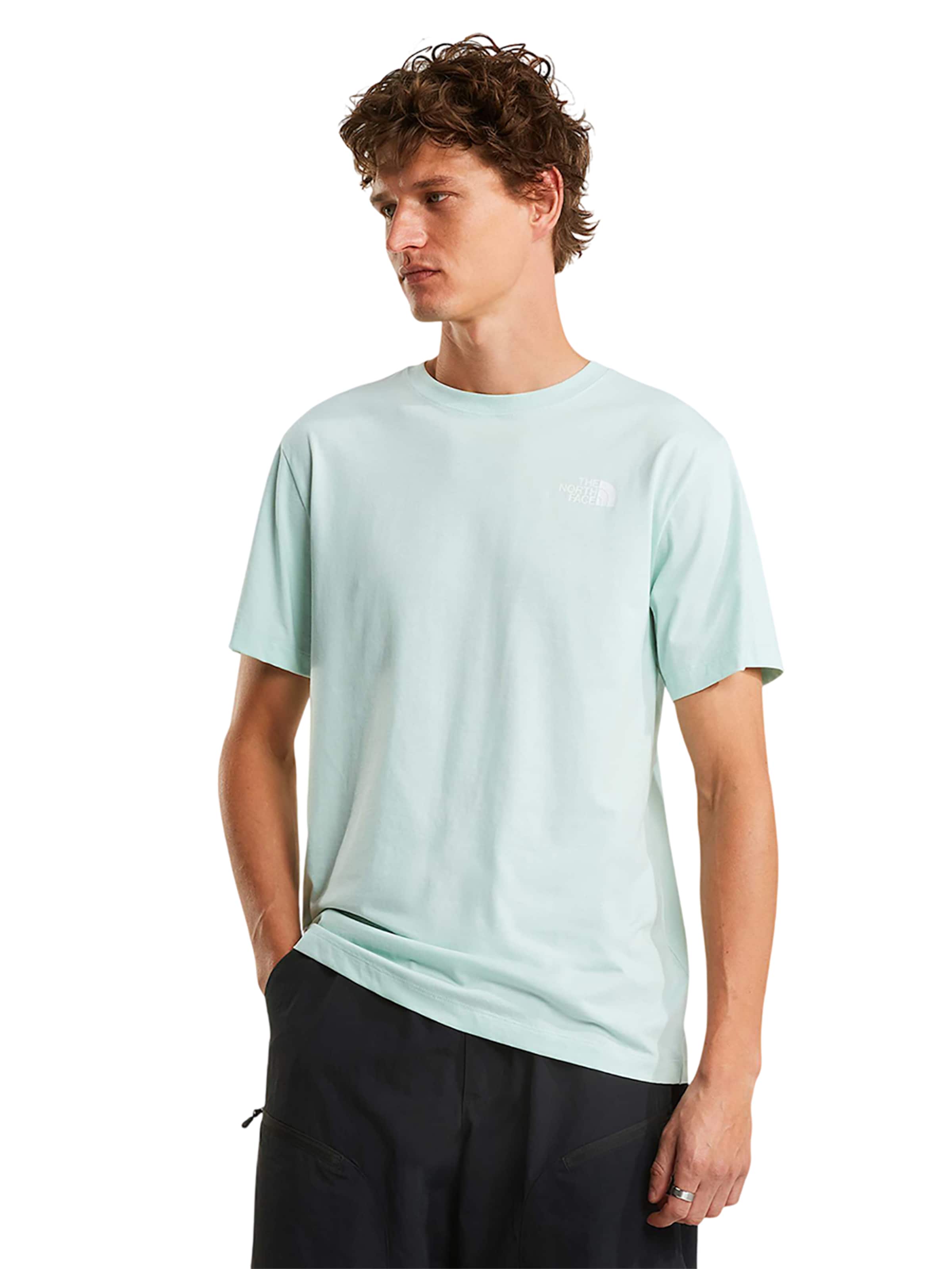 THE NORTH FACE Shirt 'Evolution Box NSE Regular' in Blue