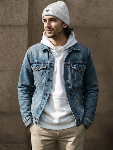 Neverless Beanie 'Kompass' in Grey
