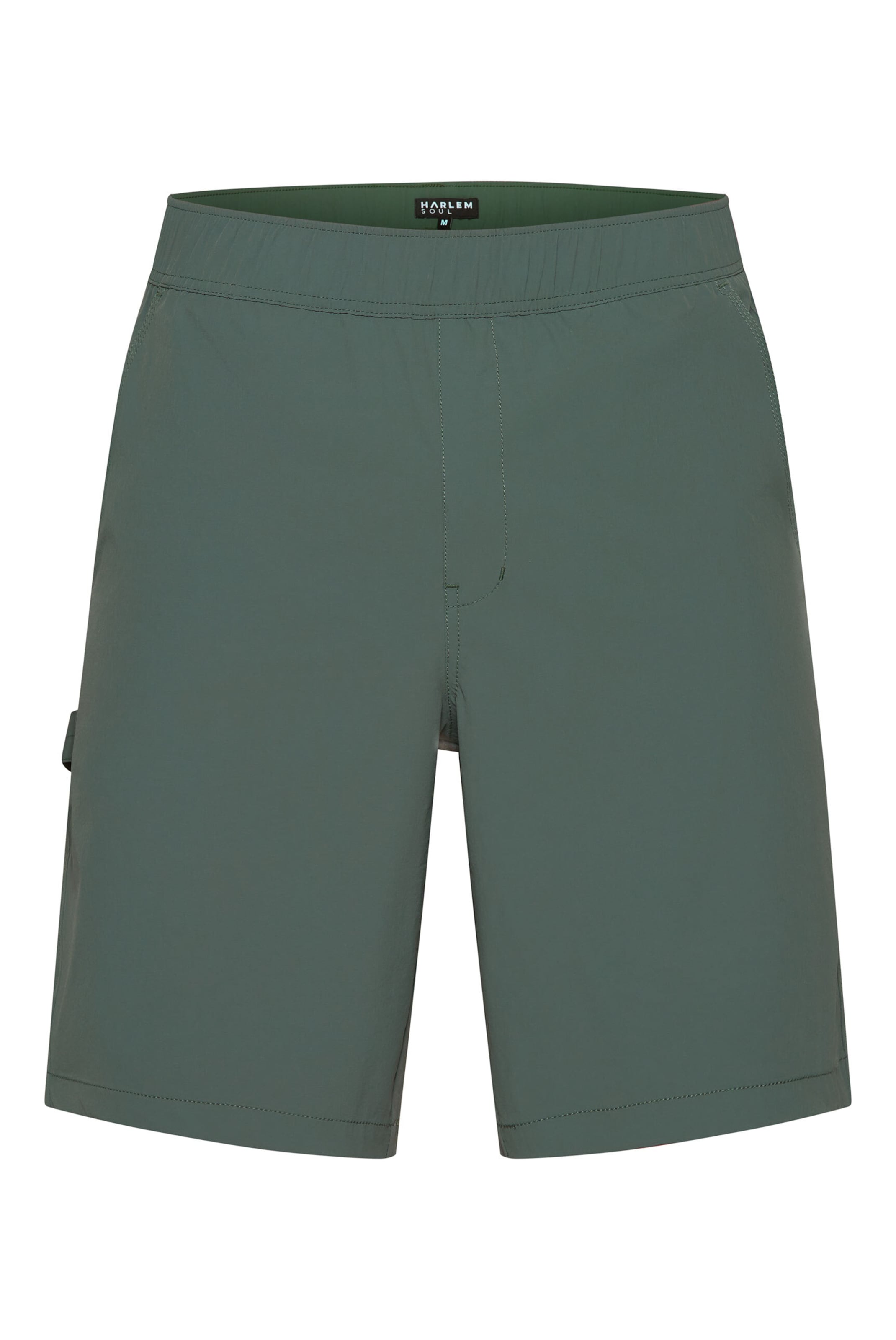 Harlem Soul Pants in 31-32 in Dark green, Item view