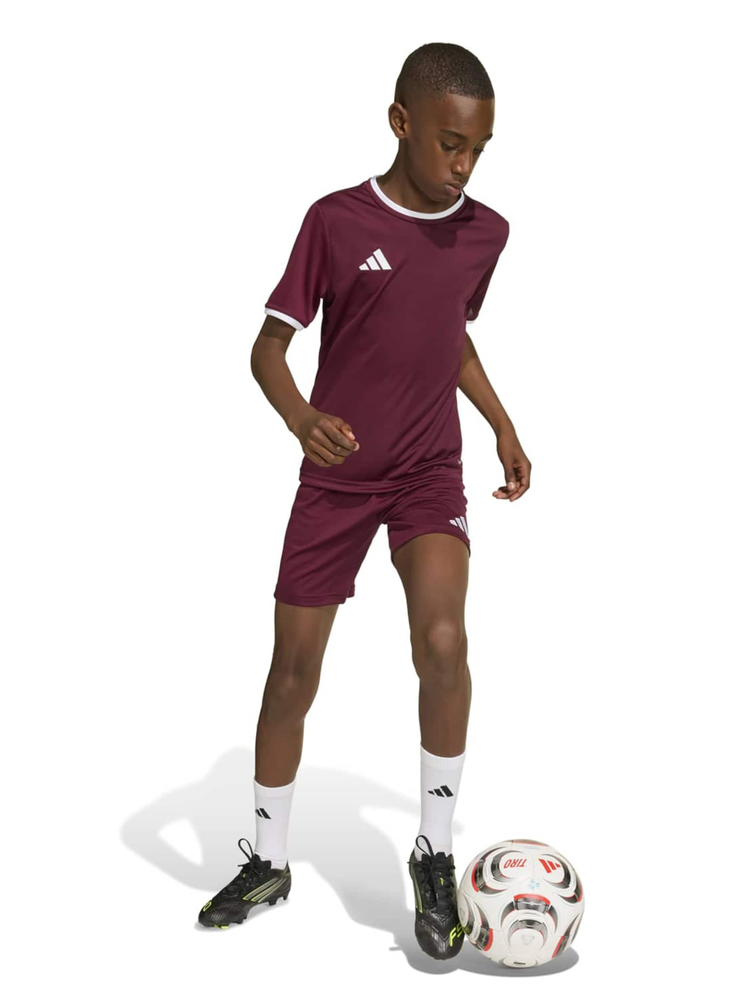 ADIDAS PERFORMANCE Функциональная футболка 'ENT26' в Красный