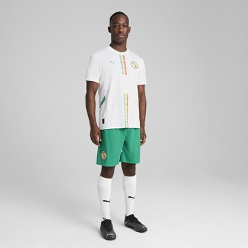 Regular Pantalon de sport 'Senegal 2025' PUMA en vert