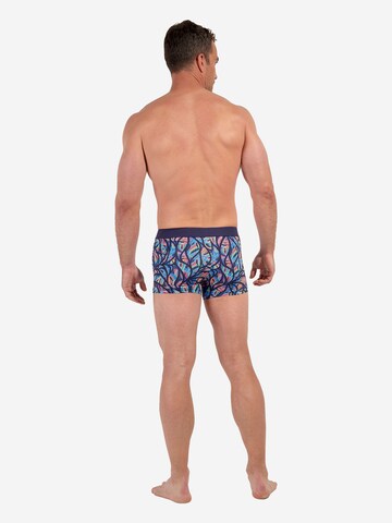 HOM Boxer shorts ' Boxer Briefs Indian Creek ' in Blue
