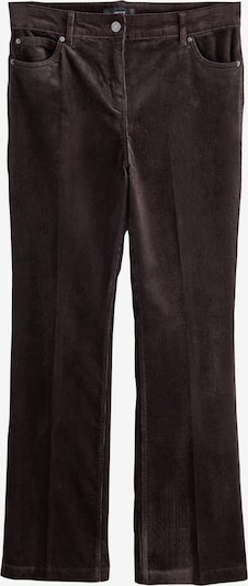 Next Hose in 38/Petite in schoko, Produktansicht
