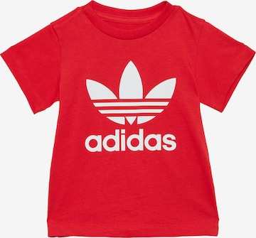 ADIDAS ORIGINALS Shirt 'Trefoil' in Rood: voorkant