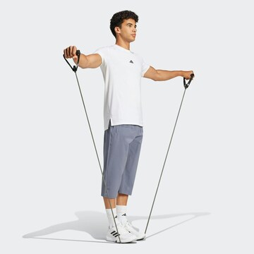 regular Pantaloni sportivi 'Essentials' di ADIDAS PERFORMANCE in grigio