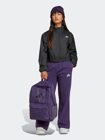 ADIDAS SPORTSWEAR Буткат Спортивные штаны в Лиловый: спереди