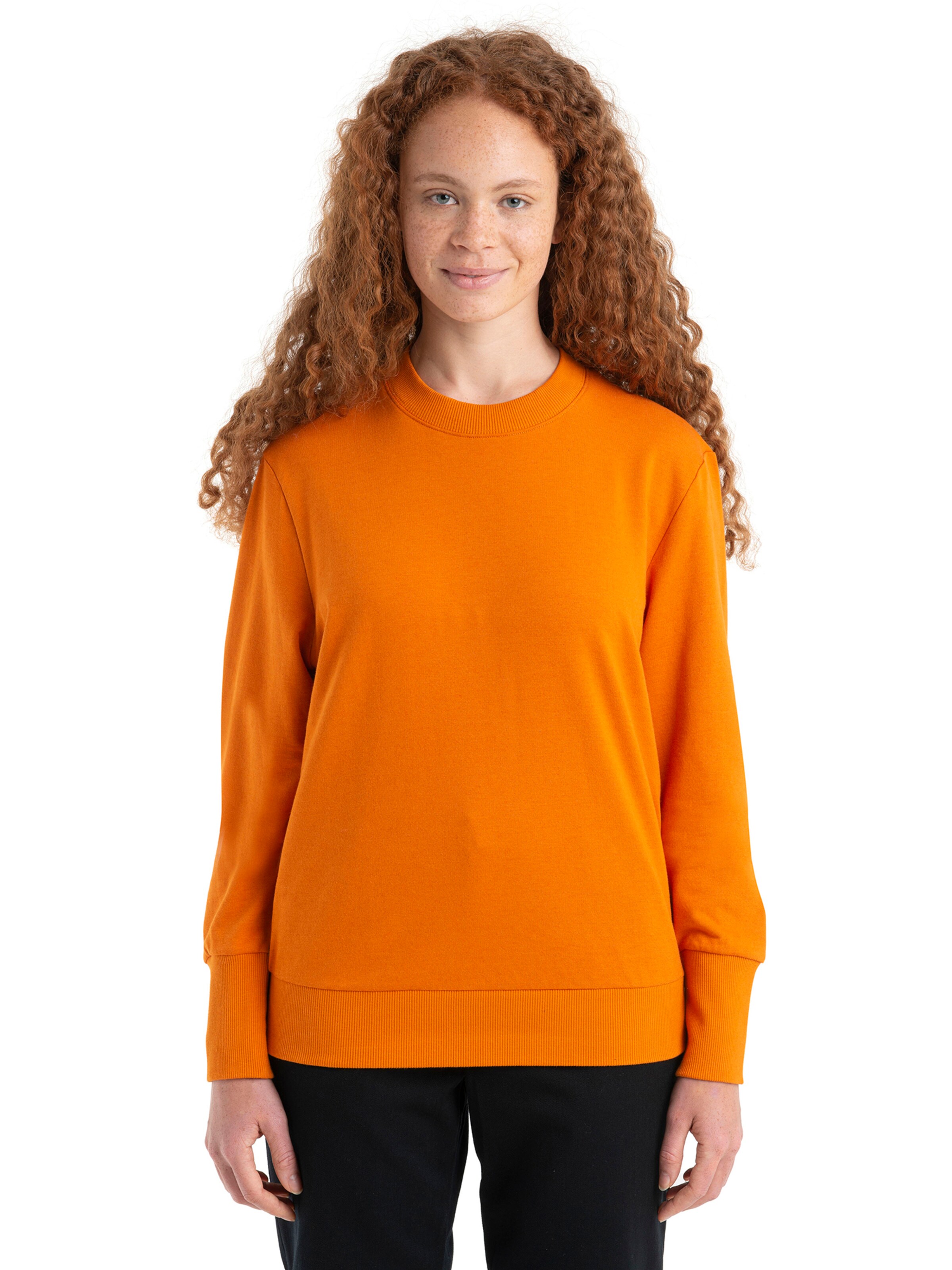 ICEBREAKER Sweatshirt 'Central II' in Orange: front