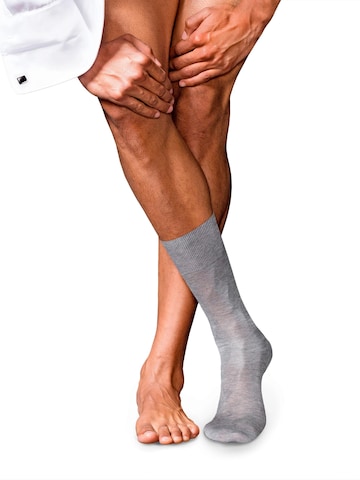 FALKE Socken 'No. 9 Pure Fil d´Écosse' in Grau: Vorderseite