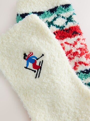 Next Socks in Beige