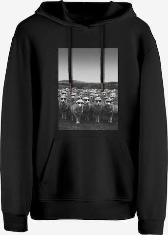 Cotton Prime Sweatshirt 'Schafe mit Sonnenbrille' in Schwarz: Vorderseite