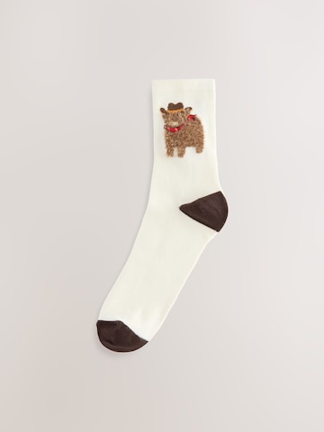 Calzino di Next in beige