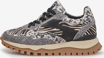 Baskets basses 'Grommi 04' Floris van Bommel en noir : devant