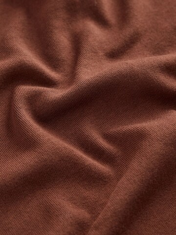 Next Shirt in Brown