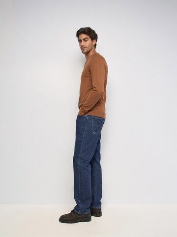 Salsa Jeans Pullover in Braun