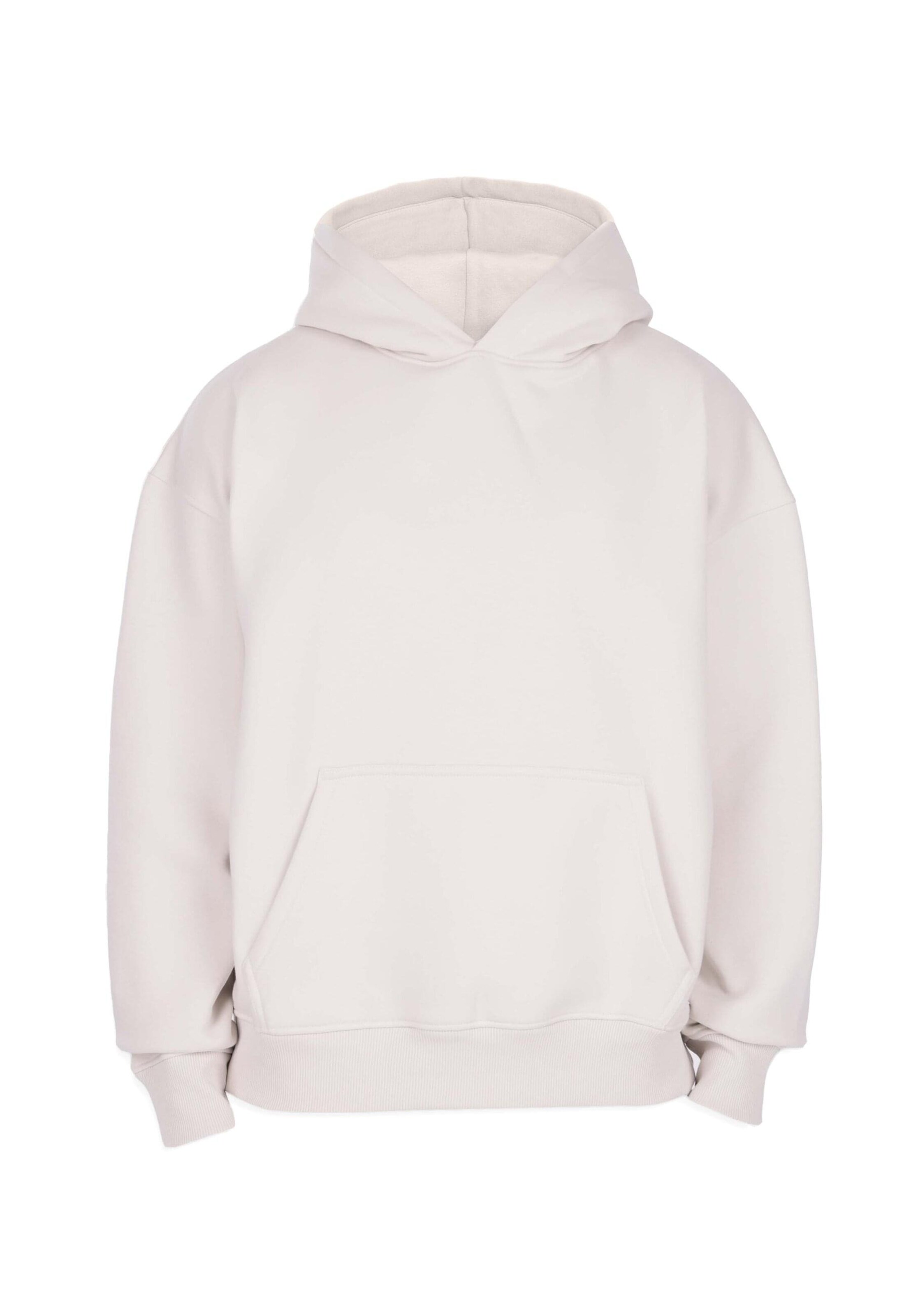 Dropsize Sweatshirt in Grau: Vorderseite