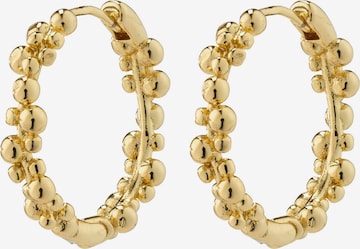 Pilgrim Earrings 'Solidarity' in Gold: front