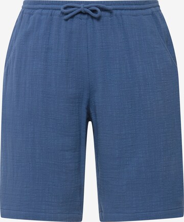 Ulla Popken Regular Pants in Blue: front