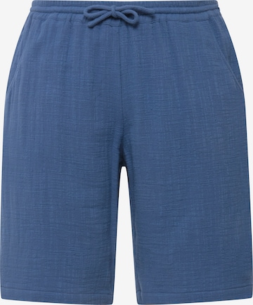 Ulla Popken Pants in Blue: front