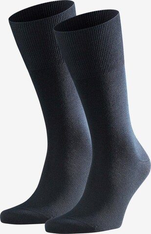 Chaussettes FALKE en bleu : devant