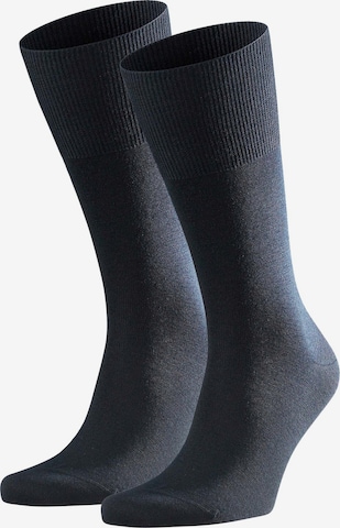 FALKE Socks in Blue: front