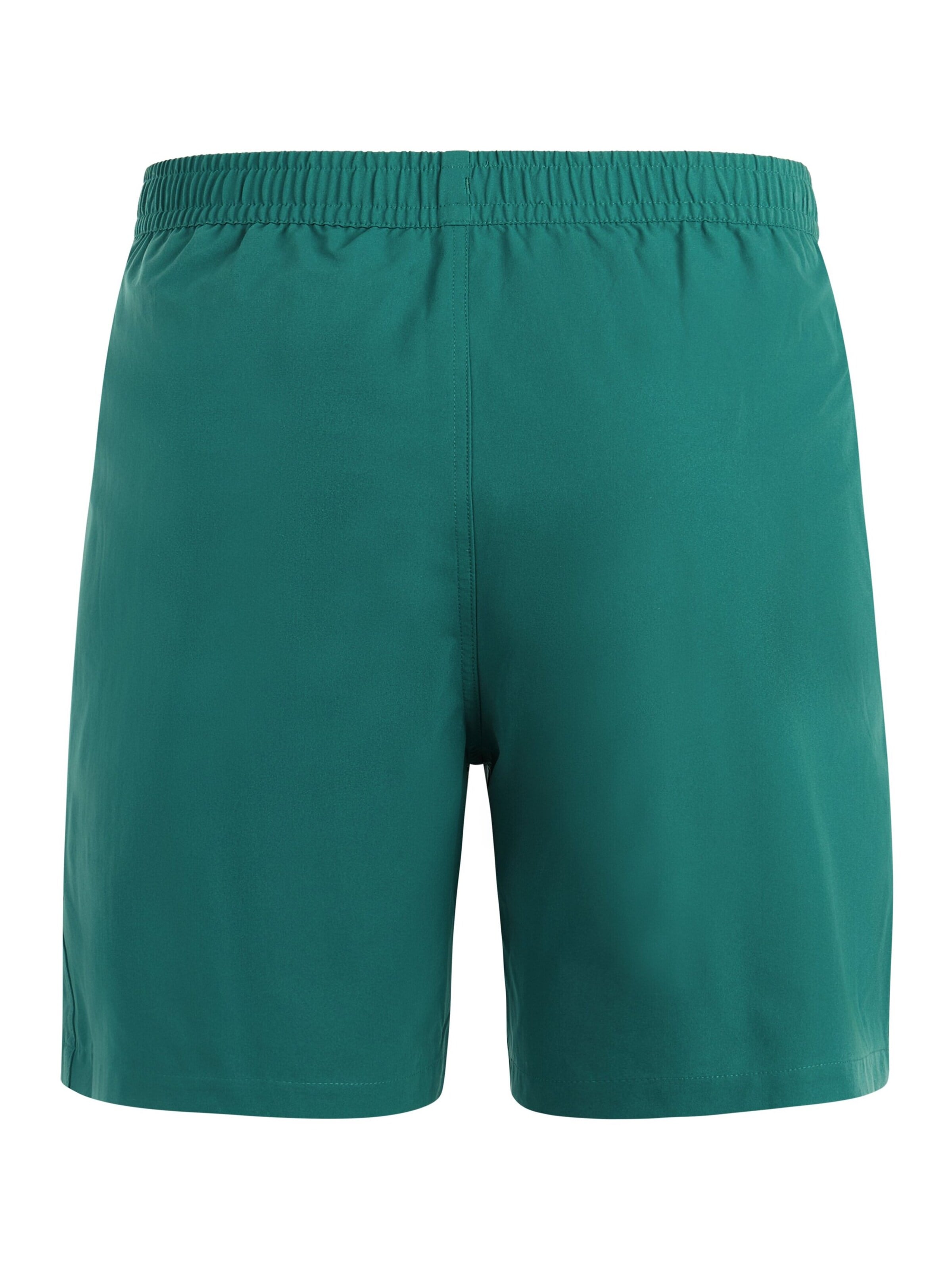 PROTEST Swimming shorts 'BAKY' in Green: front
