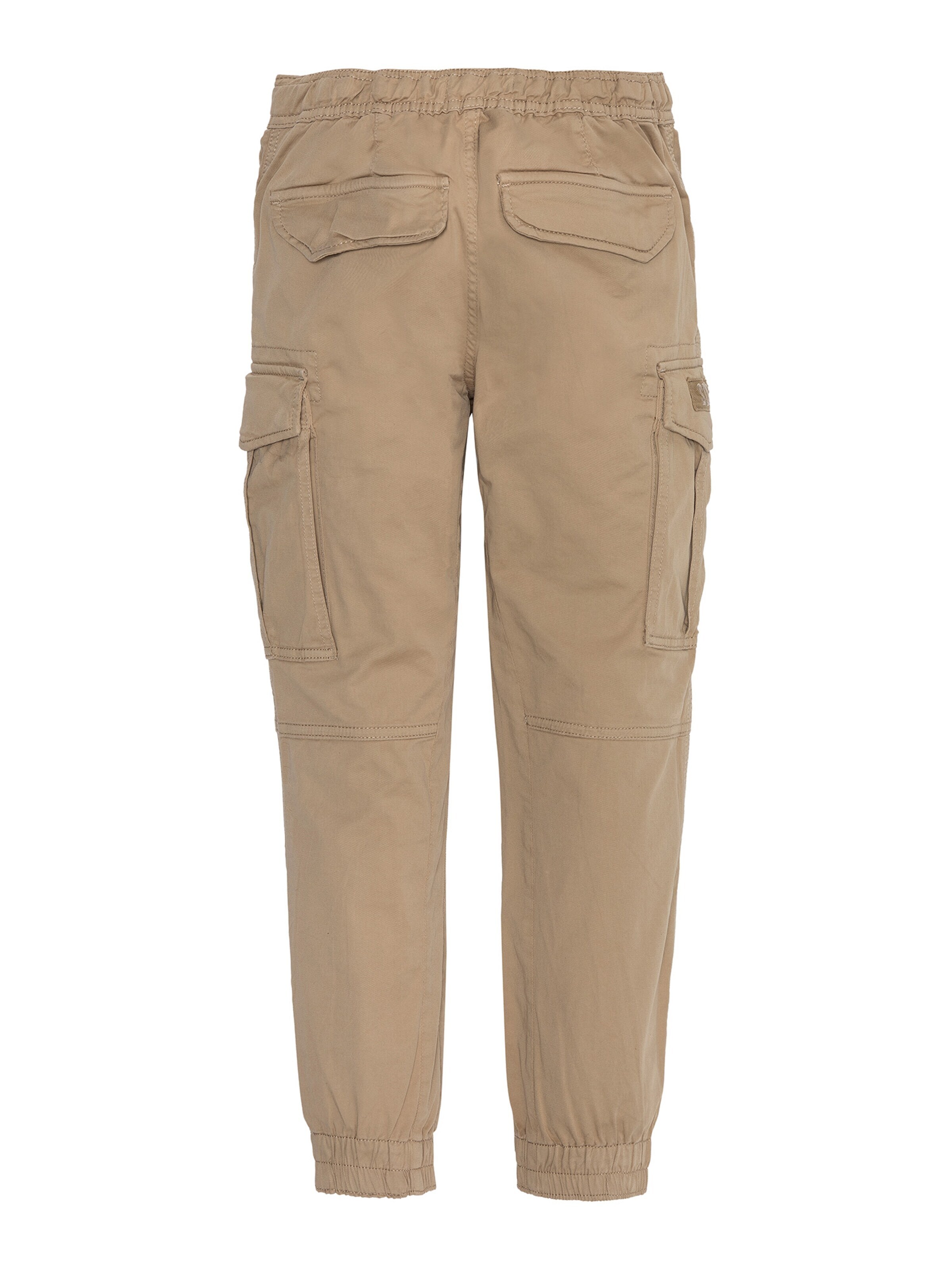 Regular Pantalon Schott NYC en beige