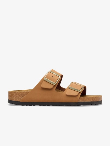 Mule 'Ciabatta Arizona' BIRKENSTOCK en marron