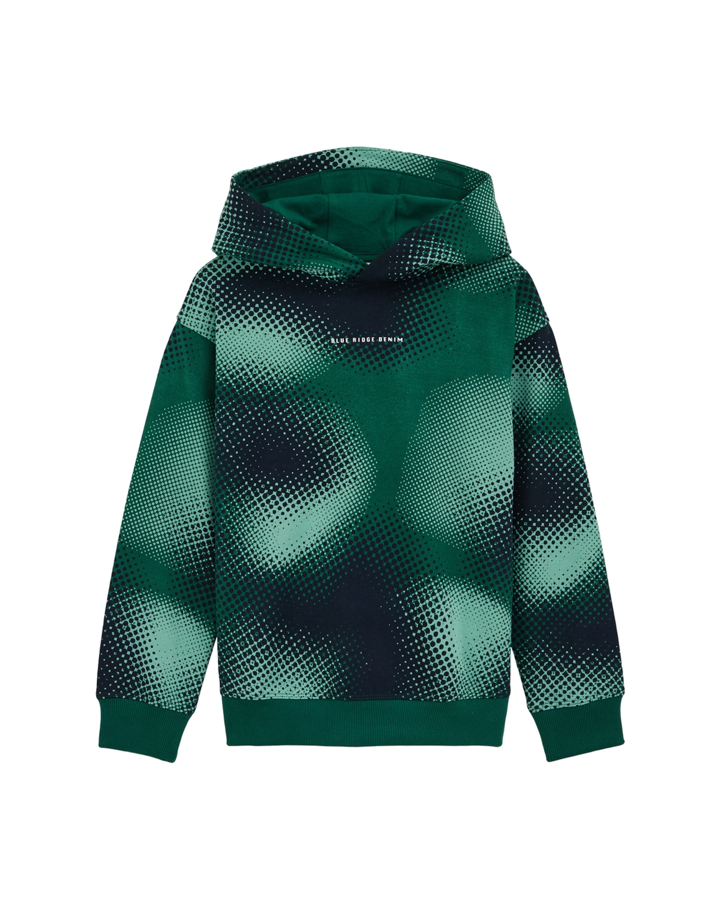 WE Fashion Μπλούζα φούτερ σε πράσινο: μπροστά