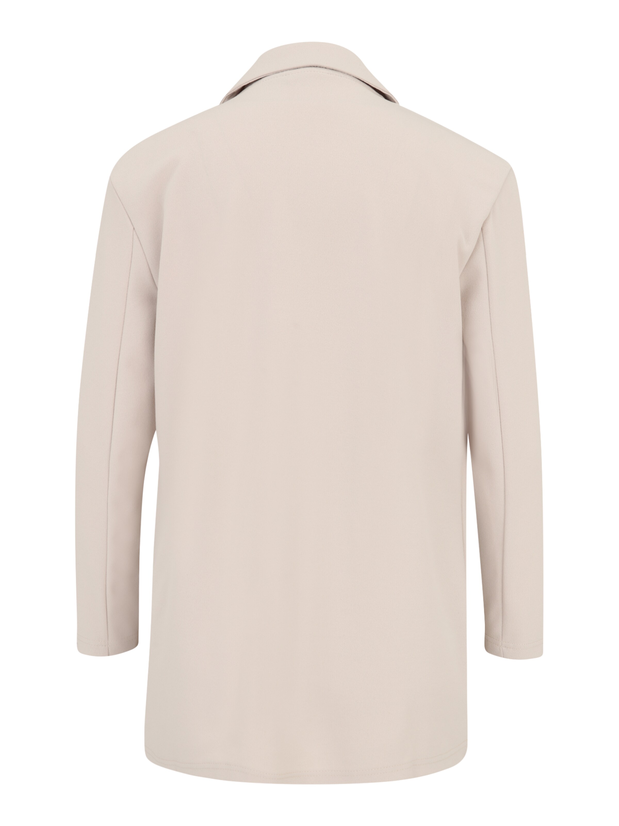 JDY Petite - Blazer 'JDYGEGGO' en gris