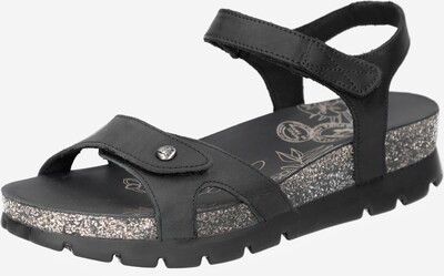 PANAMA JACK Sandal 'Sulia' in Black, Item view