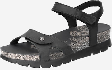 PANAMA JACK Strap Sandals 'Sulia' in Black: front