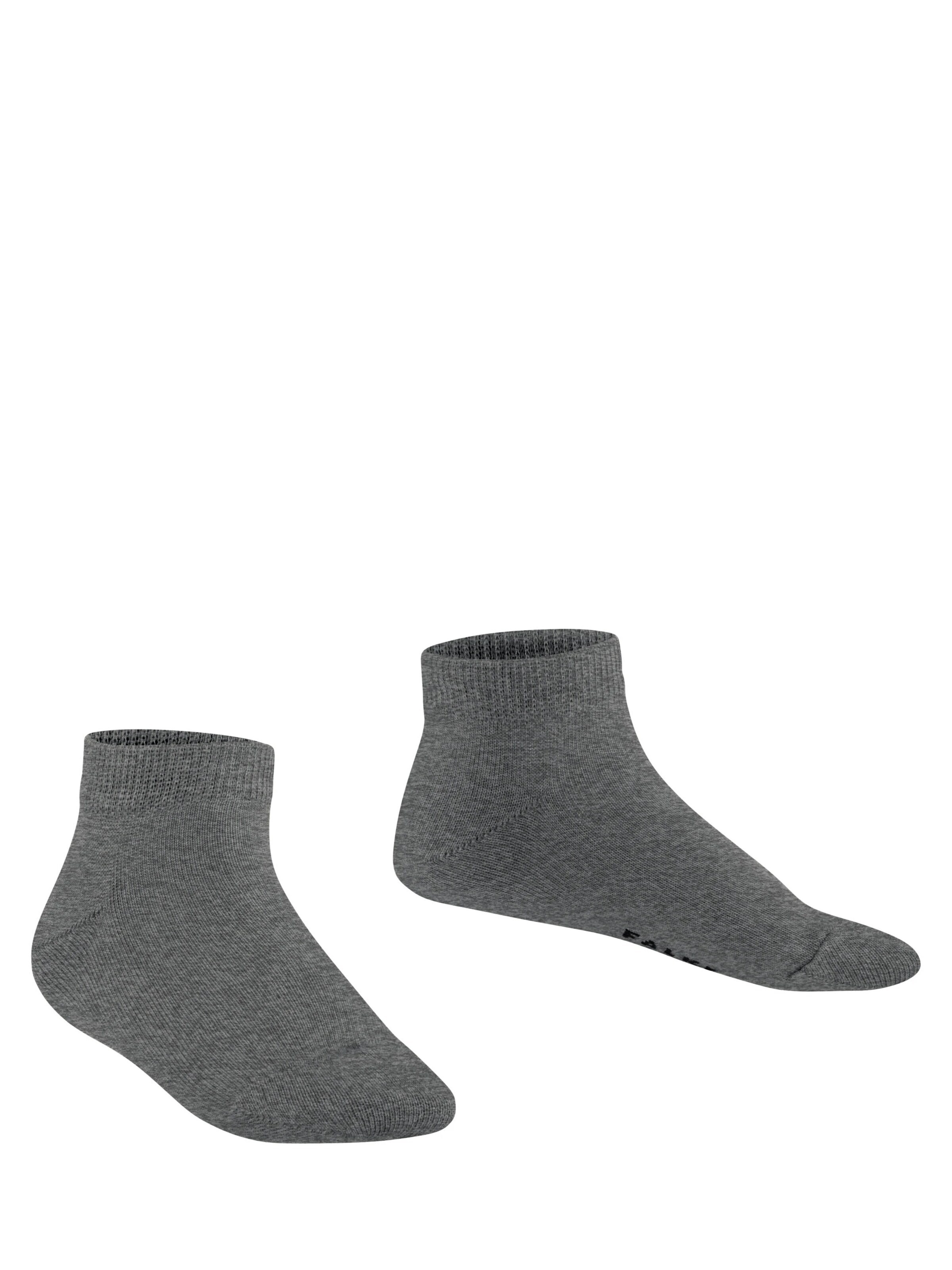 FALKE Socks 'Family' in Grey