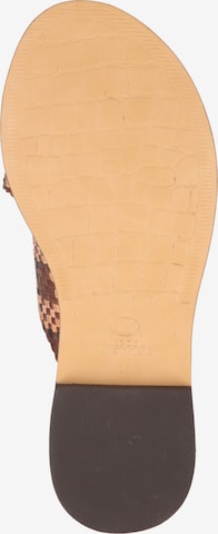 Fred de la BretoniÈre Mules in Brown