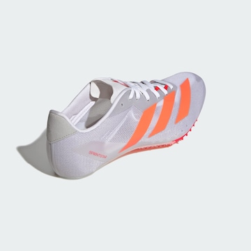 ADIDAS PERFORMANCE Laufschuh ' Adizero Sprintstar ' in Grau
