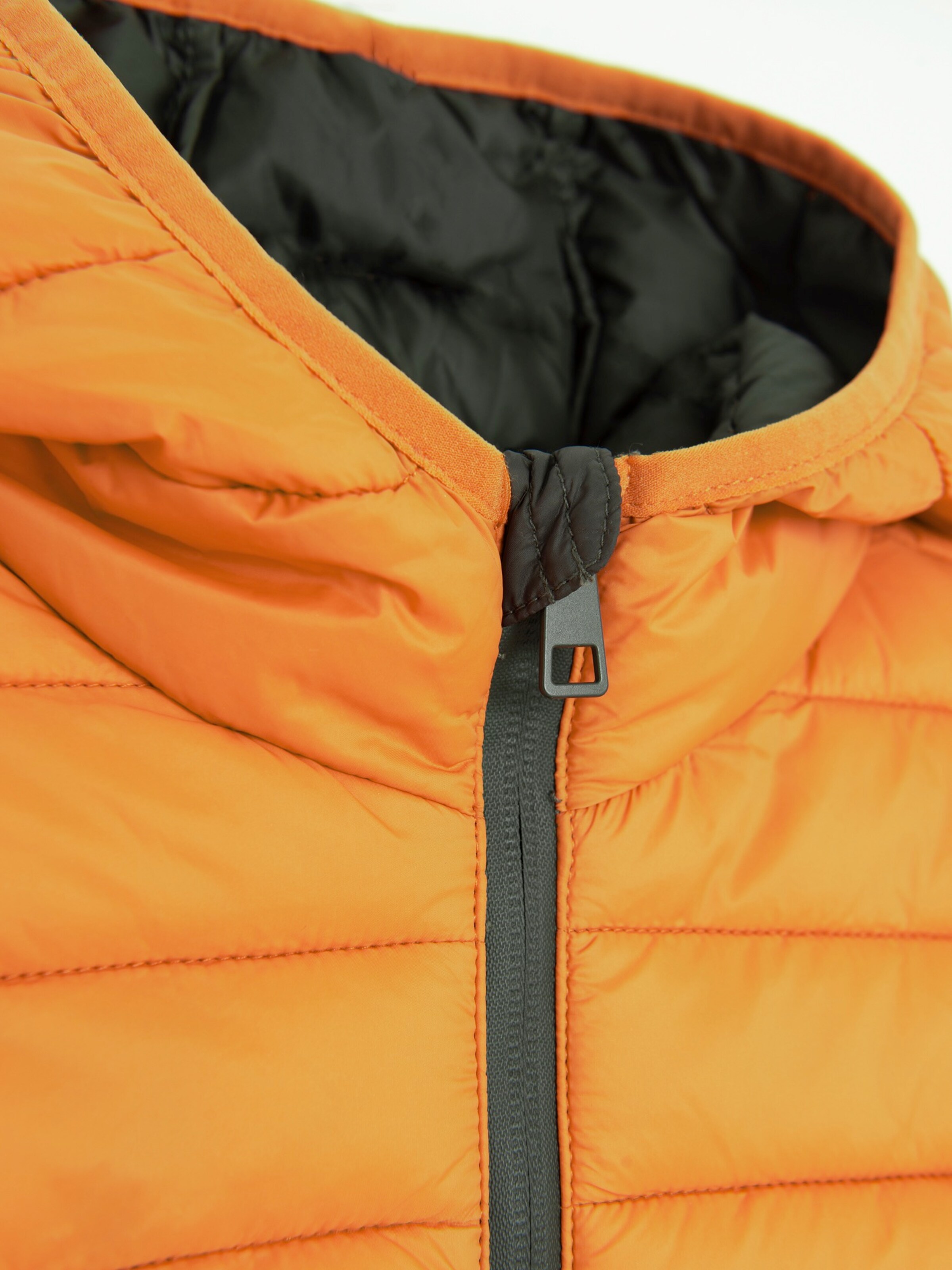 pilka Cool Club Demisezoninė striukė