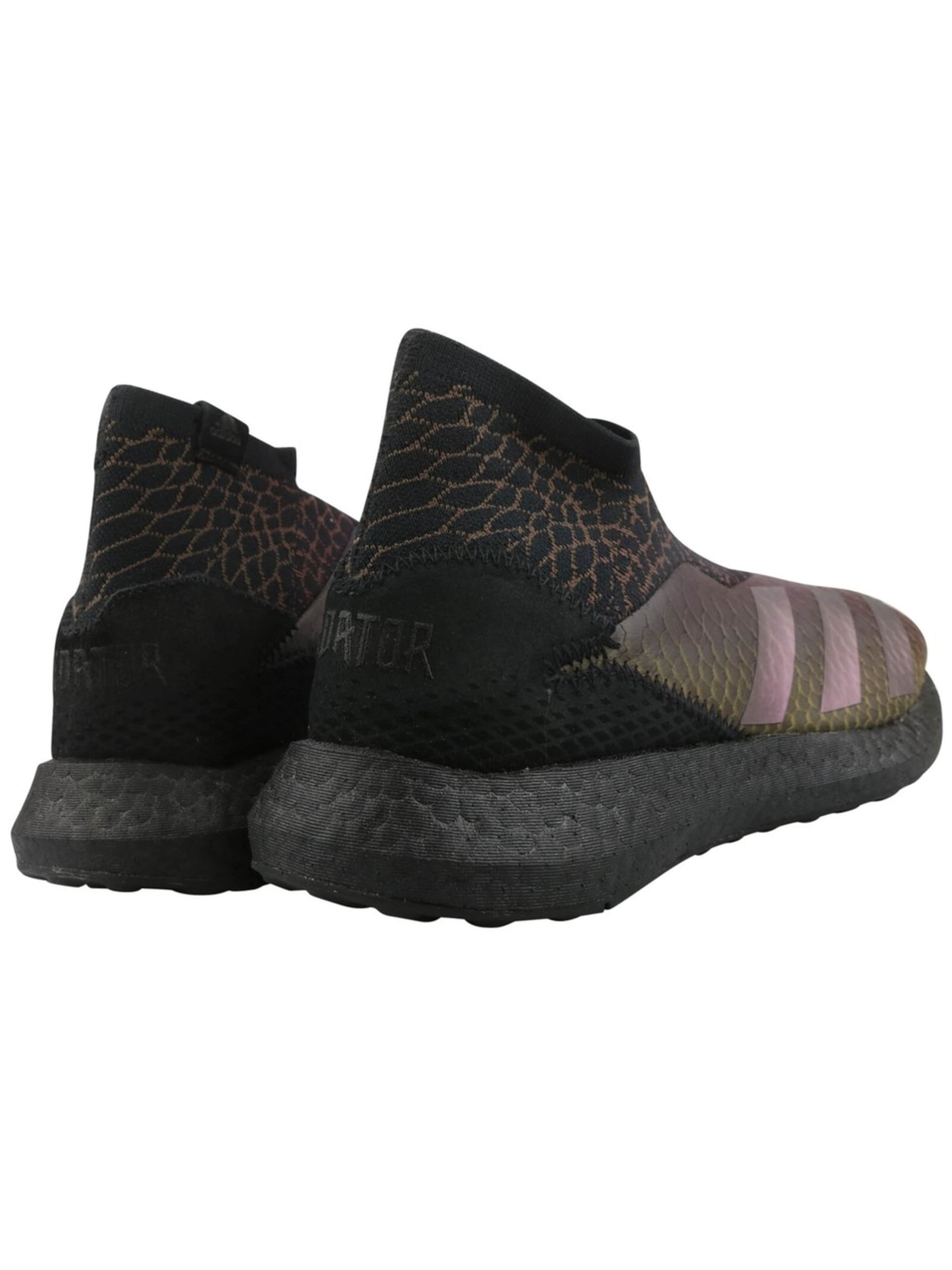 Adidas Sport Soccer shoe 'Adidas Predator 20.1 TR ADV EH2944 NEU' in Black