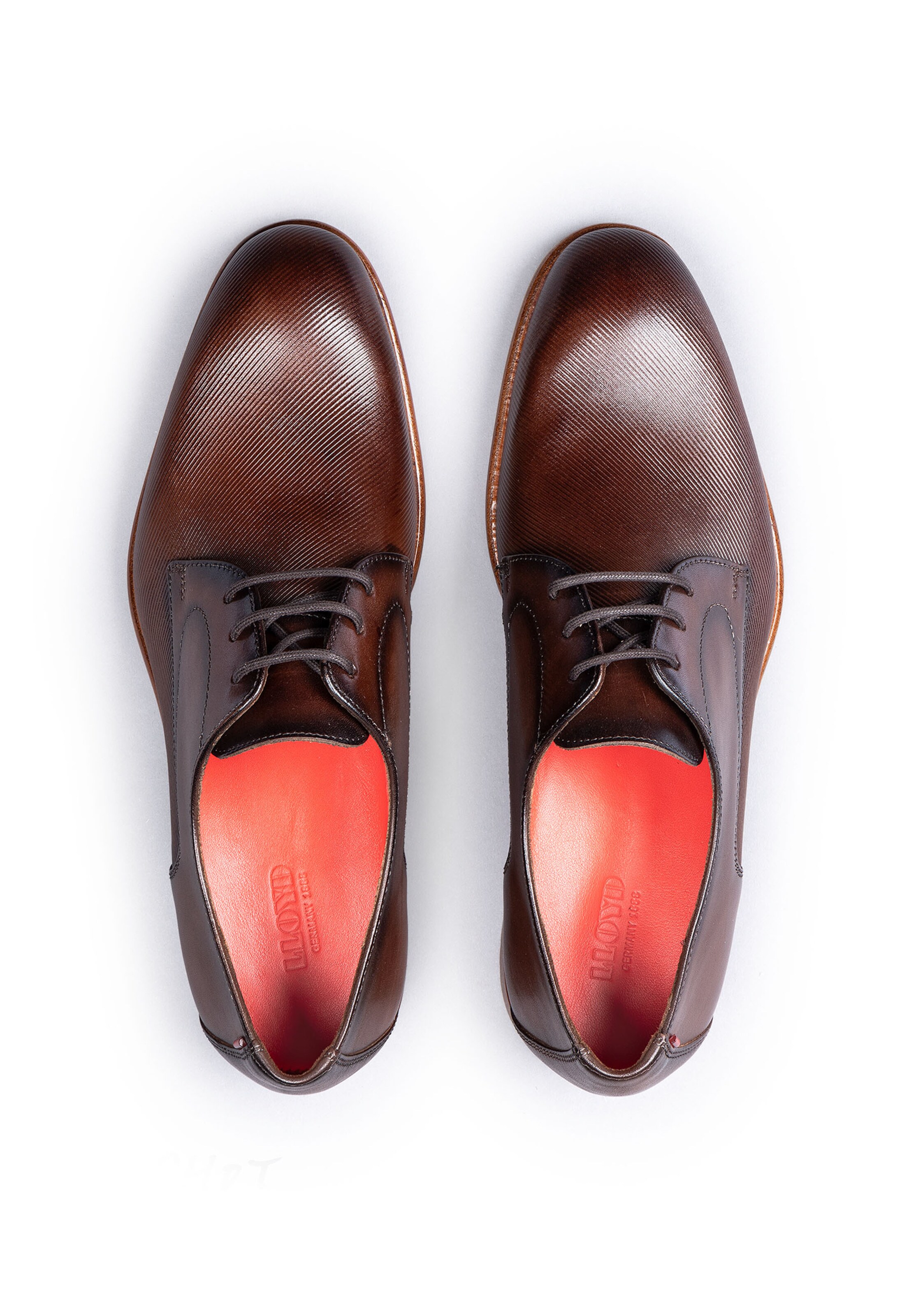 LLOYD Veterschoen 'RANDALL' in Bruin