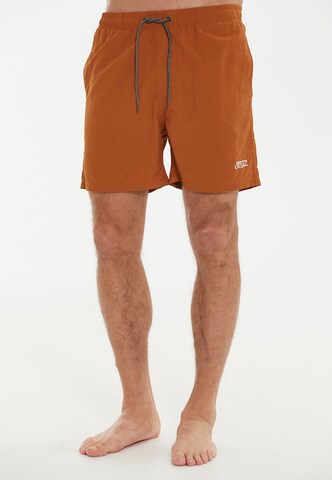 Cruz Board Shorts in Brown: front