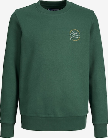 Jack & Jones Junior Sweatshirt 'Jerry' in Grün: predná strana