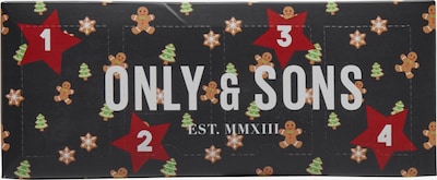 Only & Sons Κάλτσες 'X-MAS' σε σκούρο κόκκινο, Άποψη προϊόντος