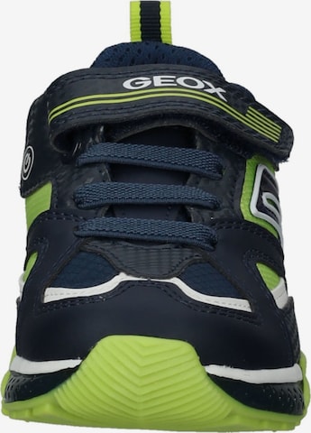 GEOX Sneaker in Blau